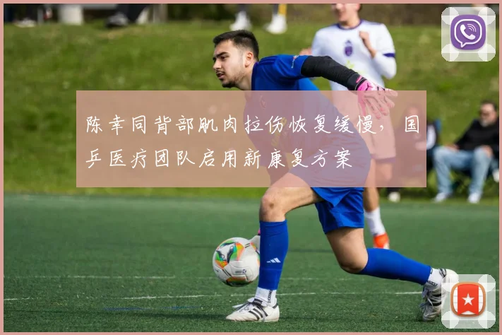 陈幸同背部肌肉拉伤恢复缓慢,国乒医疗团队启用新康复方案