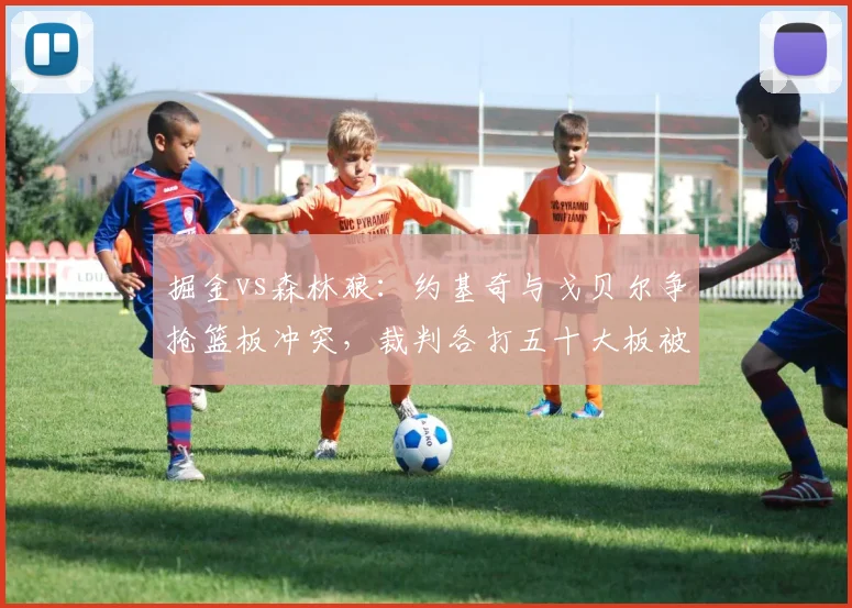 掘金vs森林狼:约基奇与戈贝尔争抢篮板冲突,裁判各打五十大板被指双重标准